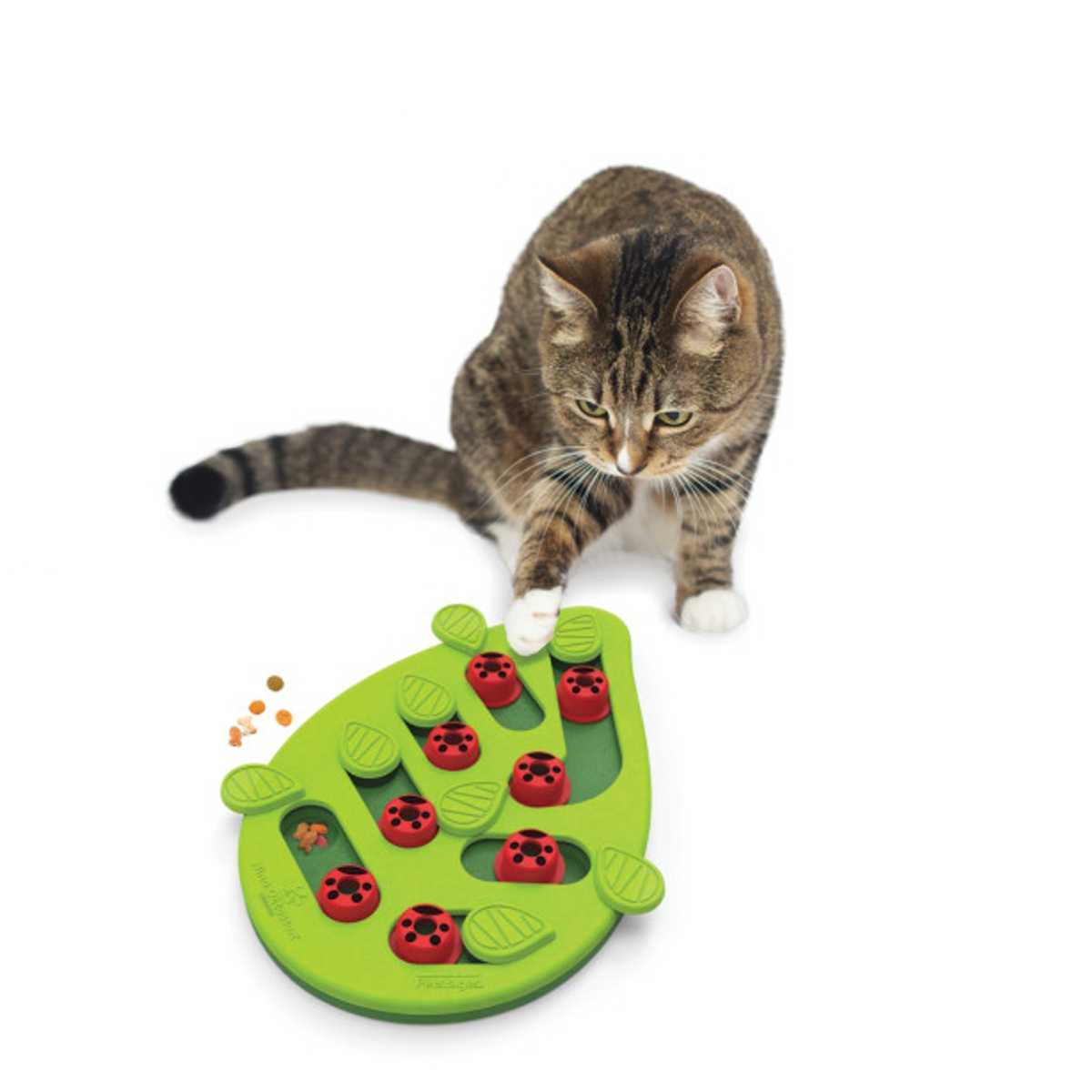 http://www.pawlicious.com/cdn/shop/products/nina-ottosson-buggin-out-puzzle-cat-2.jpg?v=1617302840