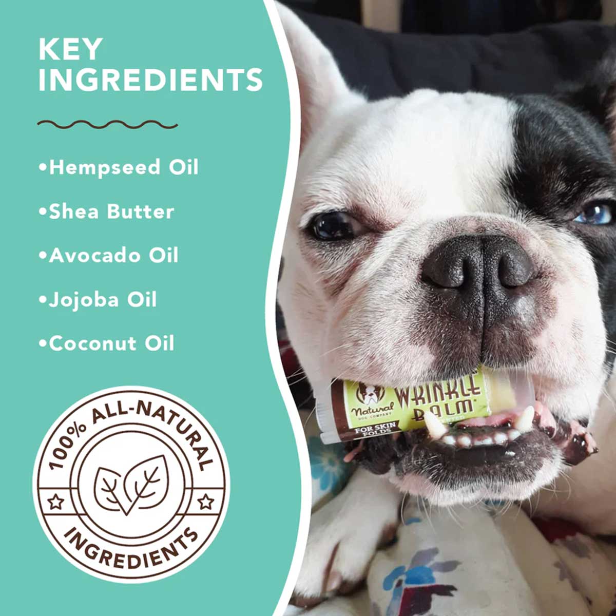Natural Dog Company Wrinkle Balm