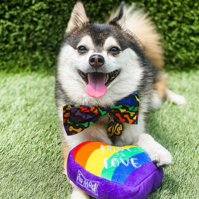 Unity Collar Bow Tie