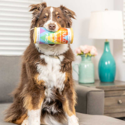 Fuzzy Seltzer Plush Dog Toy