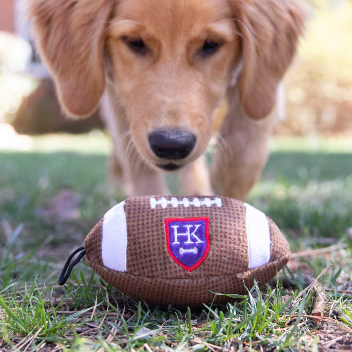 Lulubelles Pigskin Football Plush Dog Toy
