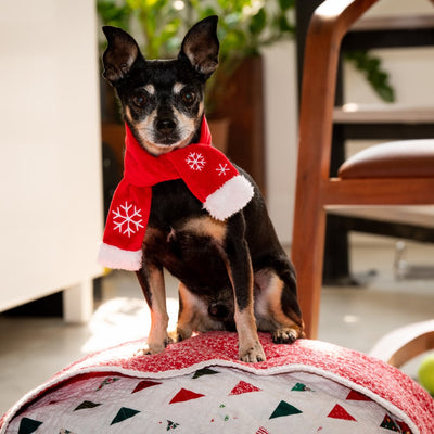 Snowflake Scarf Pet Scarf | Pawlicious & Company