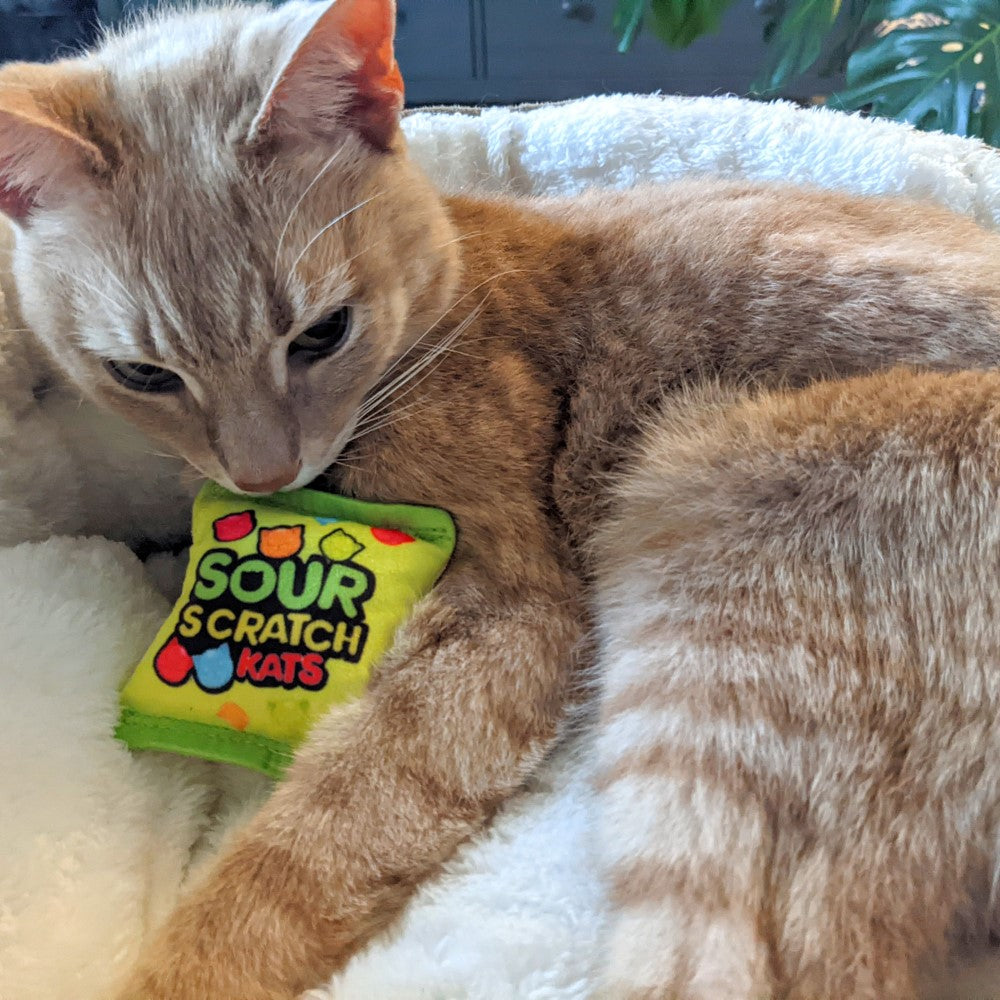 Kittybelles Kitty Sour Scratch Kats Catnip Toy | Pawlicious & Company