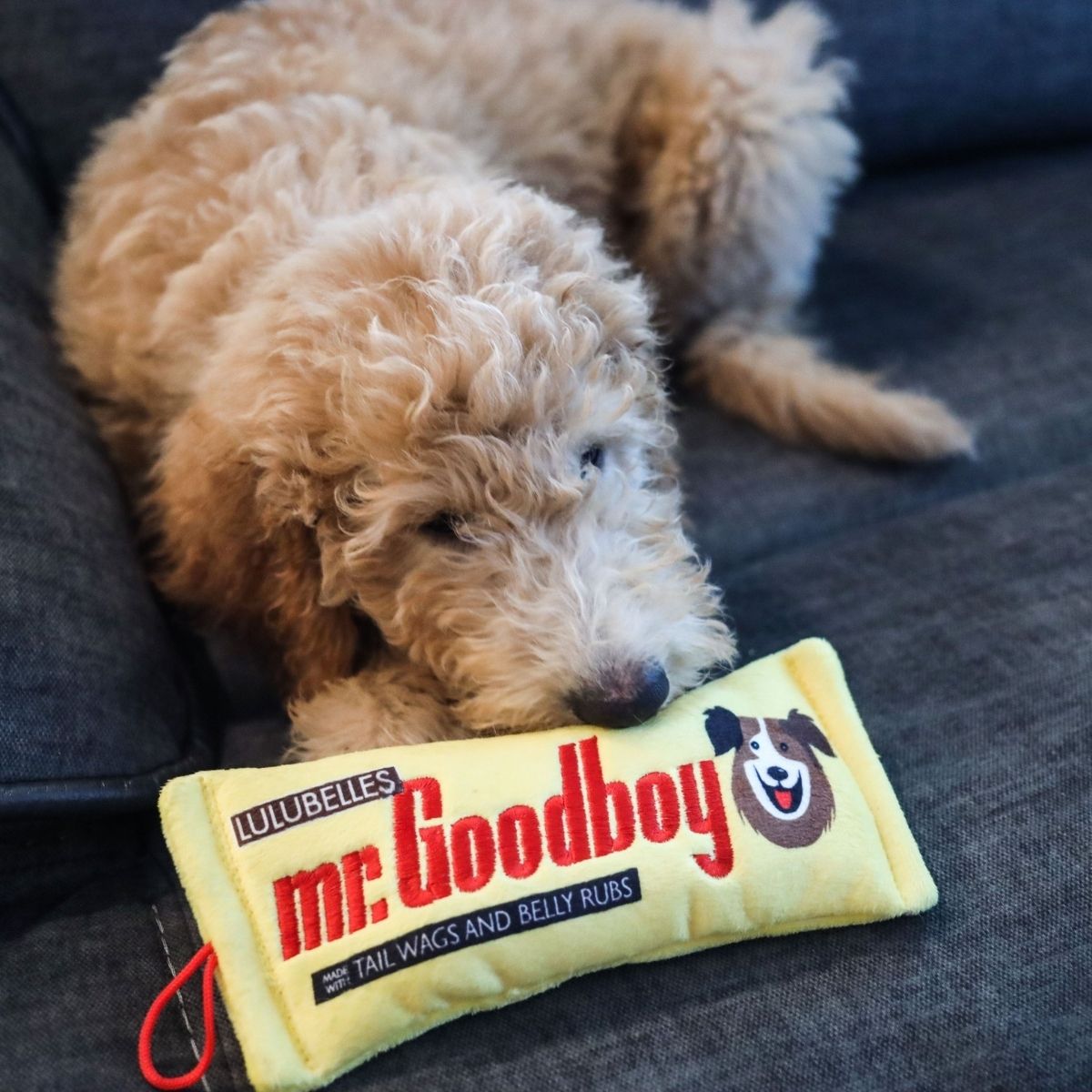 Lulubelles Mr. Goodboy Stuffless Dog Toy | Pawlicious & Company