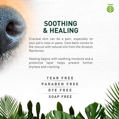 Amazonia Balm for Paws and Nose | Pawlicious & Company
