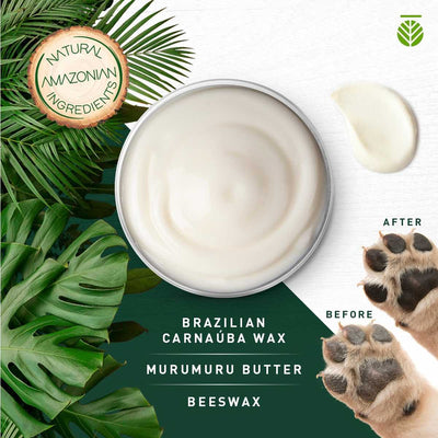 Amazonia Balm for Paws and Nose | Pawlicious & Company