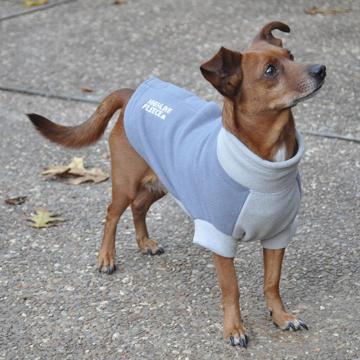 Highline Fleece Dog Coat - Two Tone Grays | Pawlicious & Company