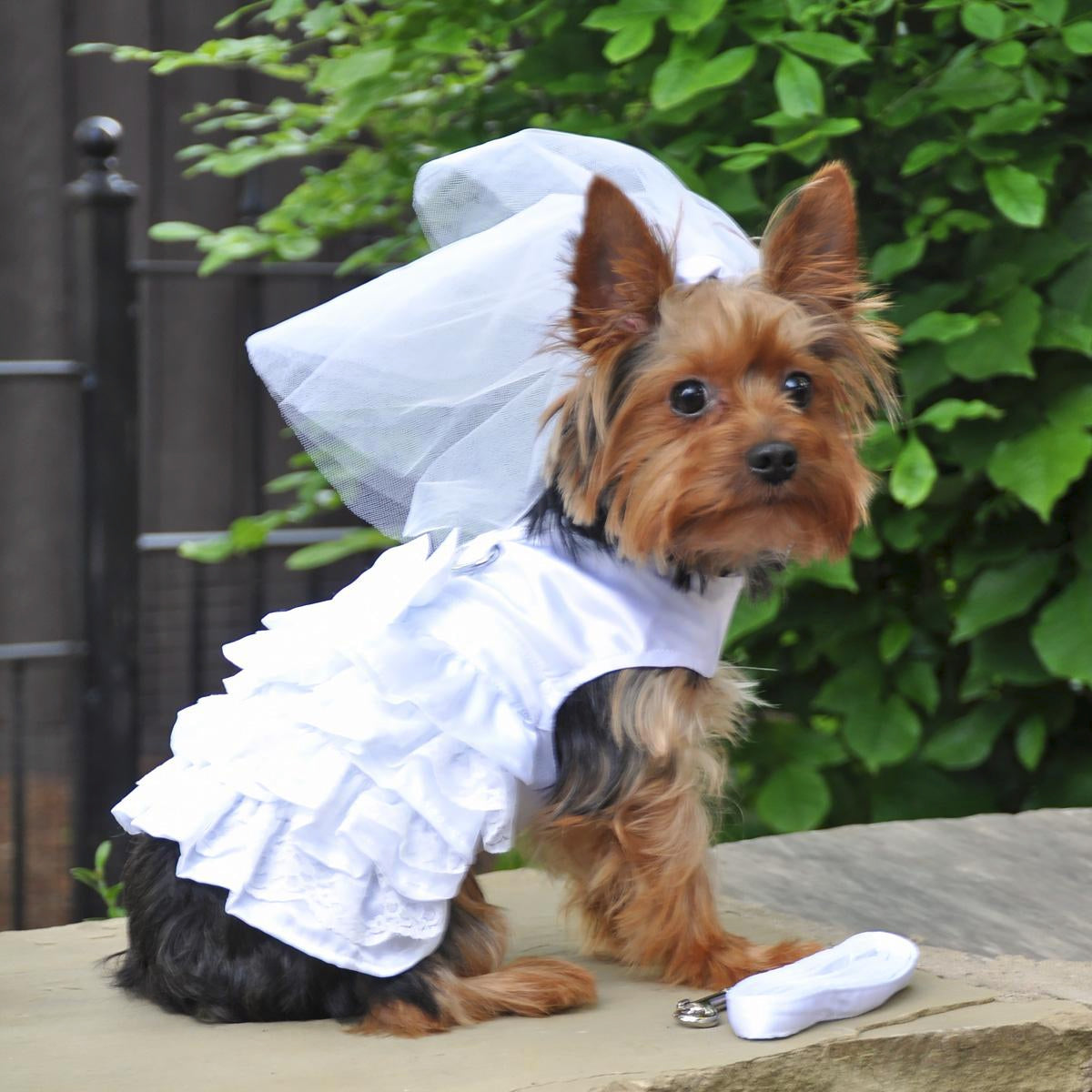 Wedding Dress Dog Harness with Veil | Pawlicious & Company