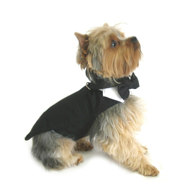 Tuxedo Dog Harness with Bow Tie and Collar | Pawlicious & Company