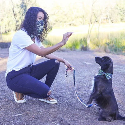 Camo Green Pet Collar Bow Tie | Pawlicious & Company