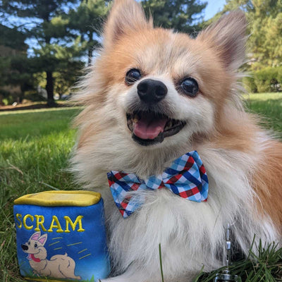 Can O'Scram Plush Dog Toy | Pawlicious & Company
