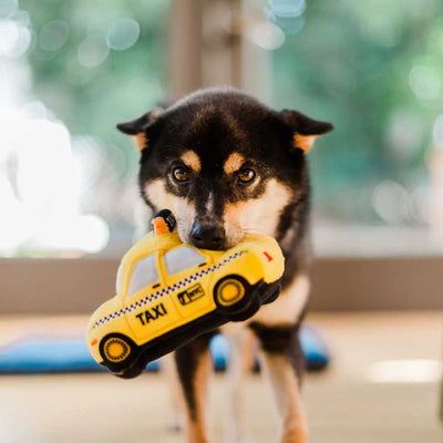 Canine Taxi Plush Dog Toy | Pawlicious & Company