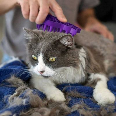 Kong Cat Zoom Groom | Pawlicious & Company