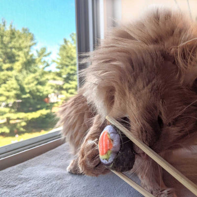 Classic Sushi Plush Catnip Toy | Pawlicious & Company