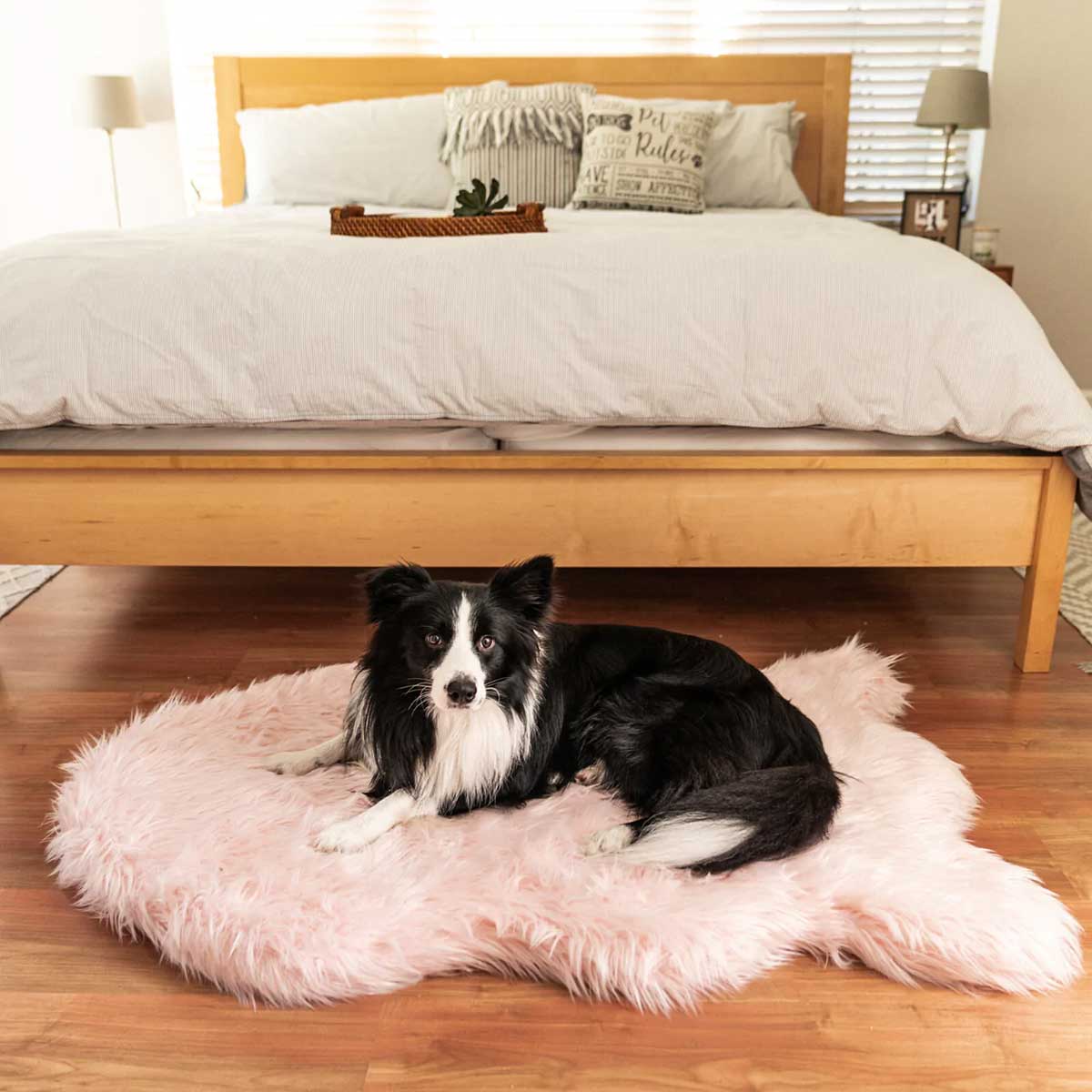PupRug Faux Fur Curved Orthopedic Dog Bed - Blush Pink | Pawlicious & Company
