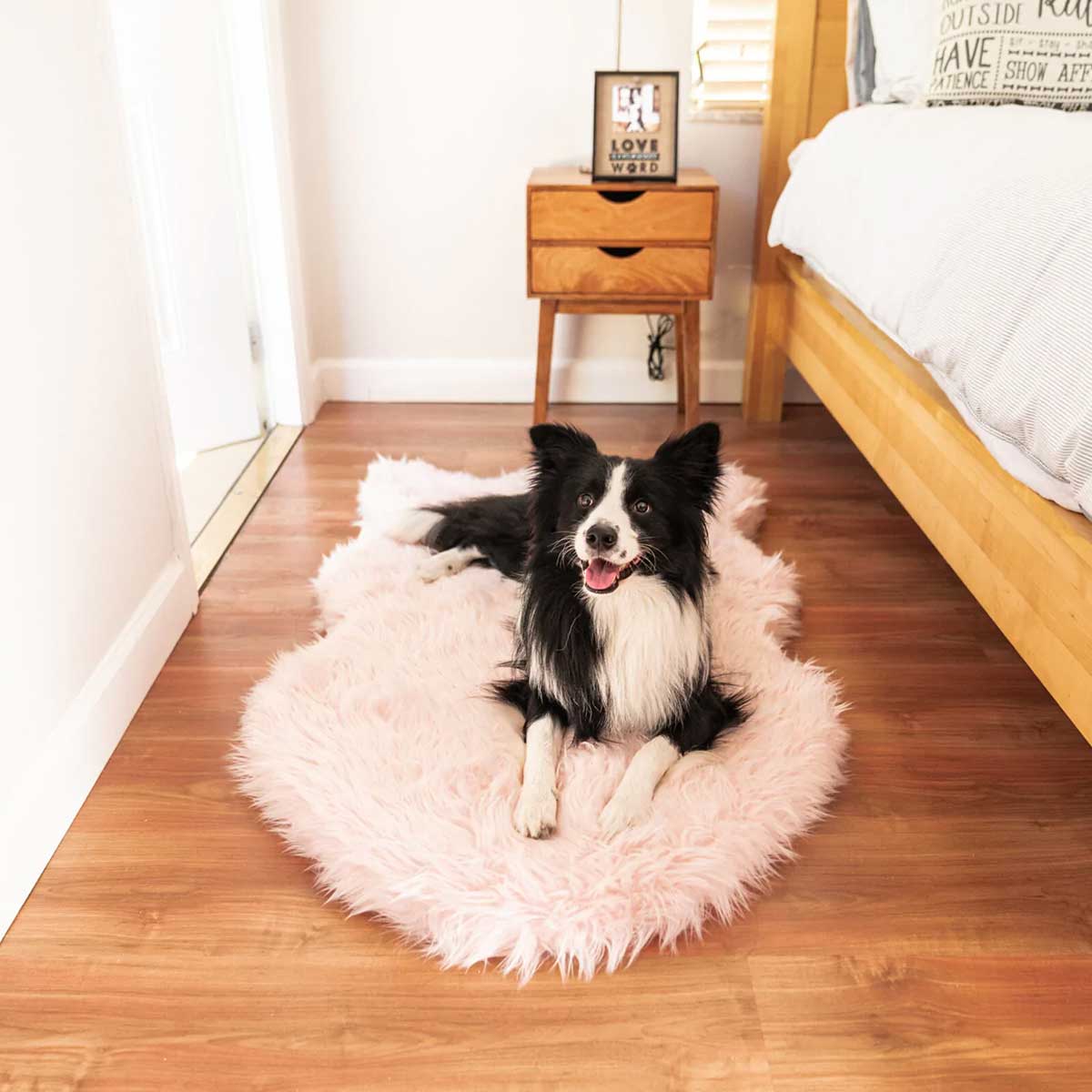 PupRug Faux Fur Curved Orthopedic Dog Bed - Blush Pink | Pawlicious & Company