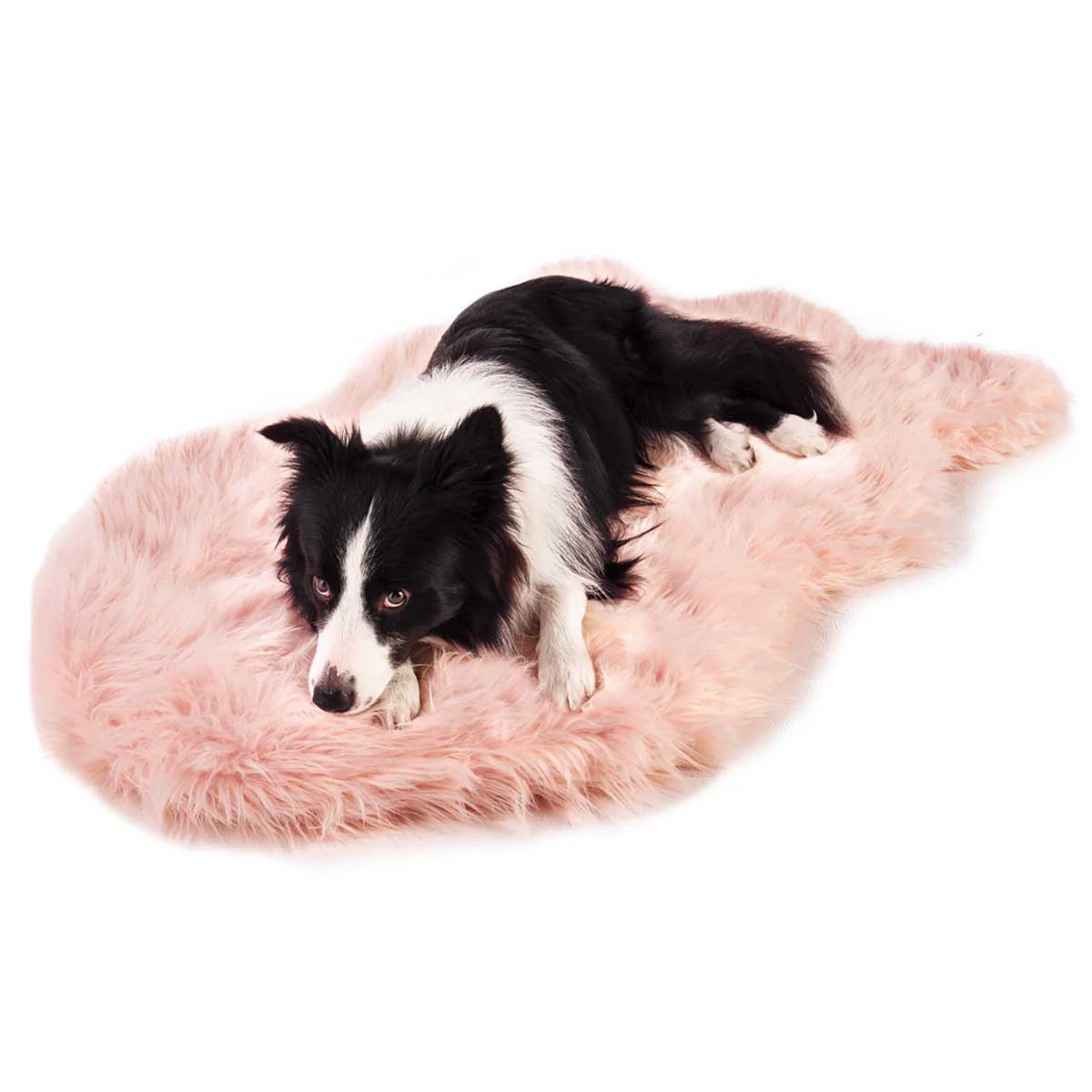 PupRug Faux Fur Curved Orthopedic Dog Bed - Blush Pink | Pawlicious & Company