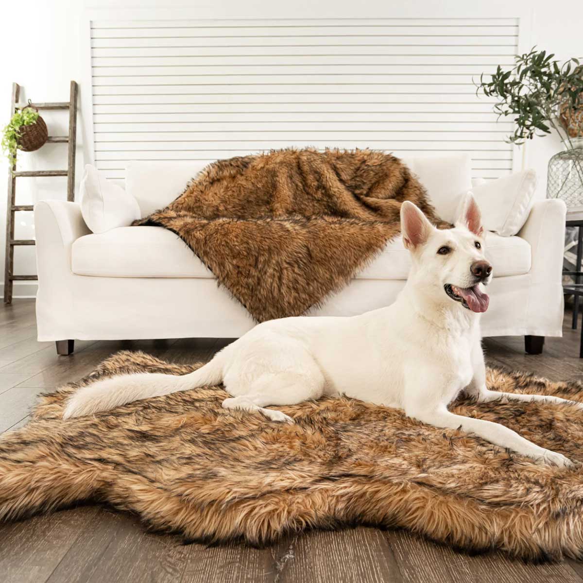 PupRug Faux Fur Curved Orthopedic Dog Bed - Sable | Pawlicious & Company