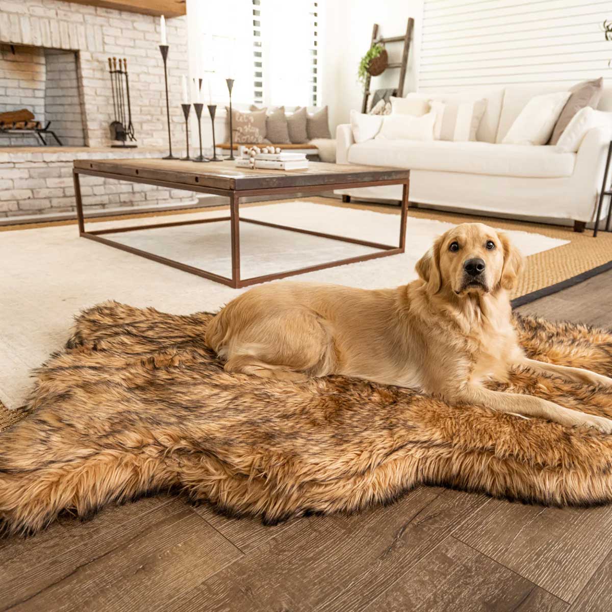 PupRug Faux Fur Curved Orthopedic Dog Bed - Sable | Pawlicious & Company