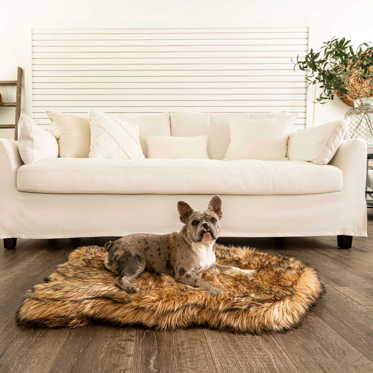 PupRug Faux Fur Curved Orthopedic Dog Bed - Sable | Pawlicious & Company