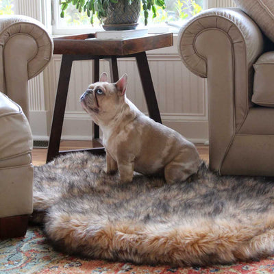 PupRug Faux Fur Curved Orthopedic Dog Bed - Sable | Pawlicious & Company