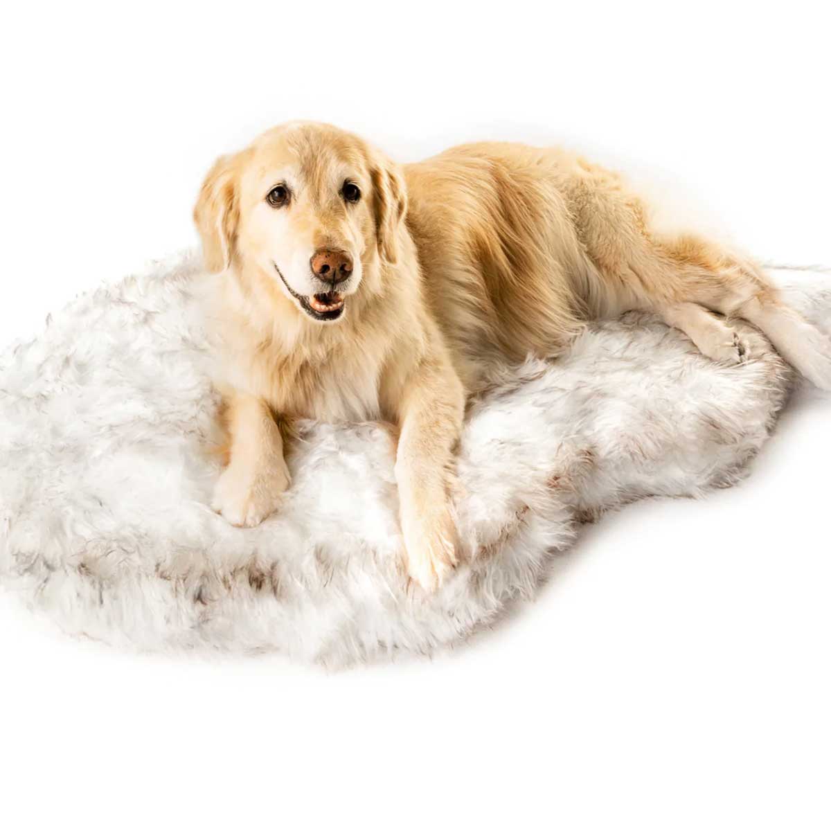 PupRug Faux Fur Curved Orthopedic Pet Bed - White with Brown Accents | Pawlicious & Company