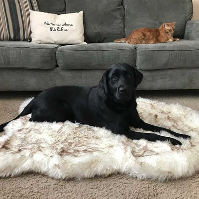PupRug Faux Fur Curved Orthopedic Pet Bed - White with Brown Accents | Pawlicious & Company