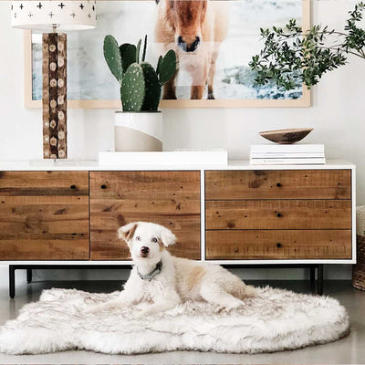 PupRug Faux Fur Curved Orthopedic Pet Bed - White with Brown Accents | Pawlicious & Company