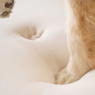 PupRug Faux Fur Curved Orthopedic Pet Bed - White with Brown Accents | Pawlicious & Company