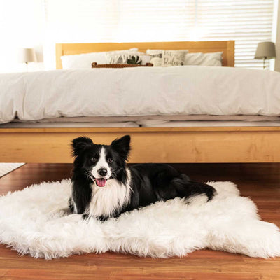 PupRug Faux Fur Curved Orthopedic Dog Bed - Polar White | Pawlicious & Company