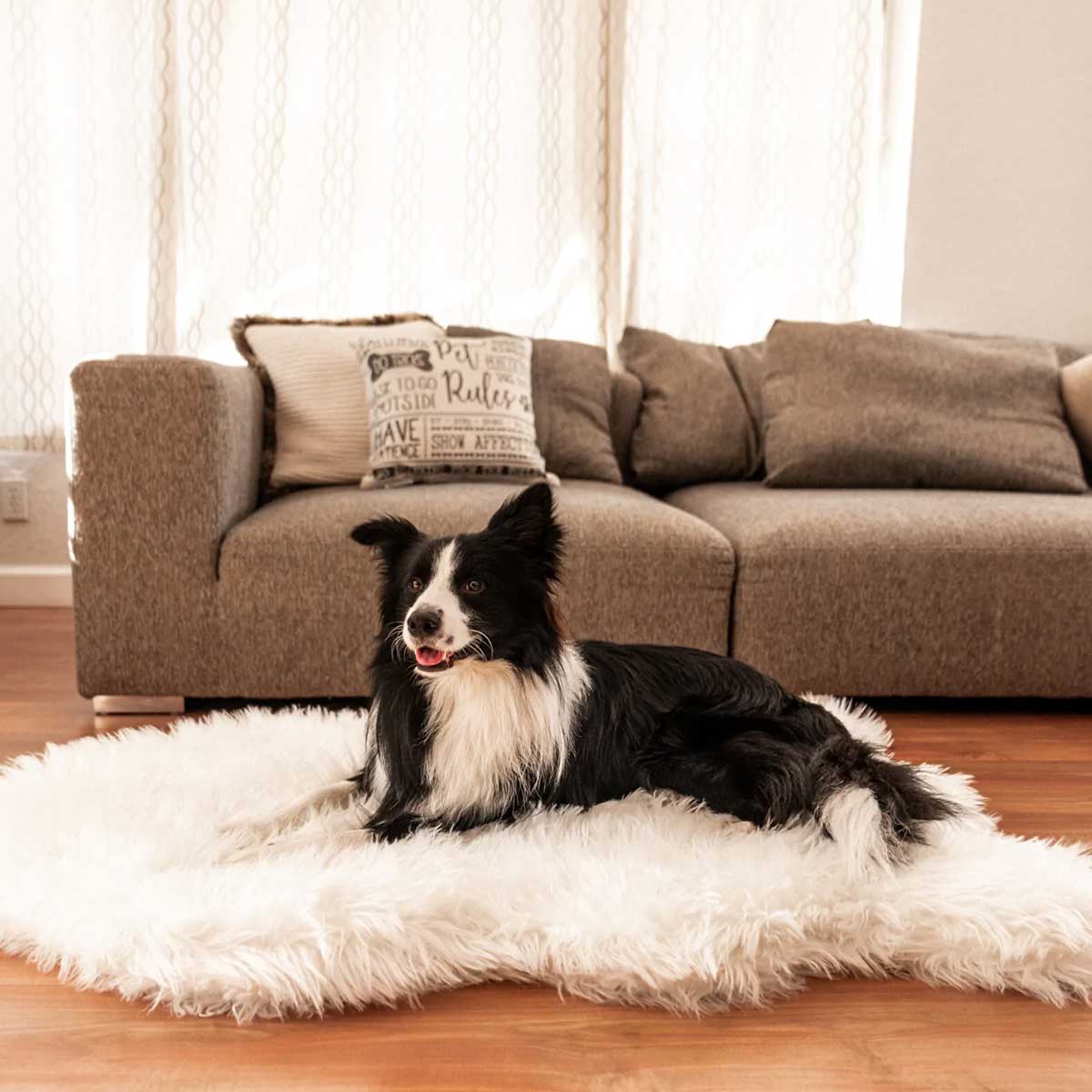 PupRug Faux Fur Curved Orthopedic Dog Bed - Polar White | Pawlicious & Company