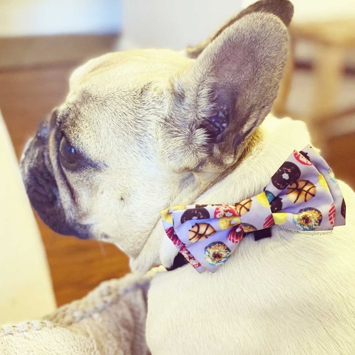 Donut Lovers Pet Collar Bow Tie | Pawlicious & Company