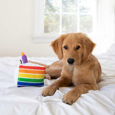 Funfetti Cake Plush Dog Toy | Pawlicious & Company