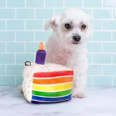 Funfetti Cake Plush Dog Toy | Pawlicious & Company