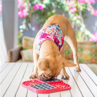 LickiMat® Slomo | Pawlicious & Company
