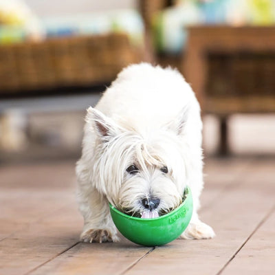 LickiMat® Wobble | Pawlicious & Company