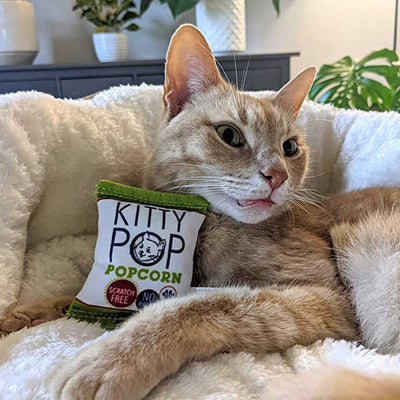Kittybelles Kitty Pop Catnip Toy | Pawlicious & Company