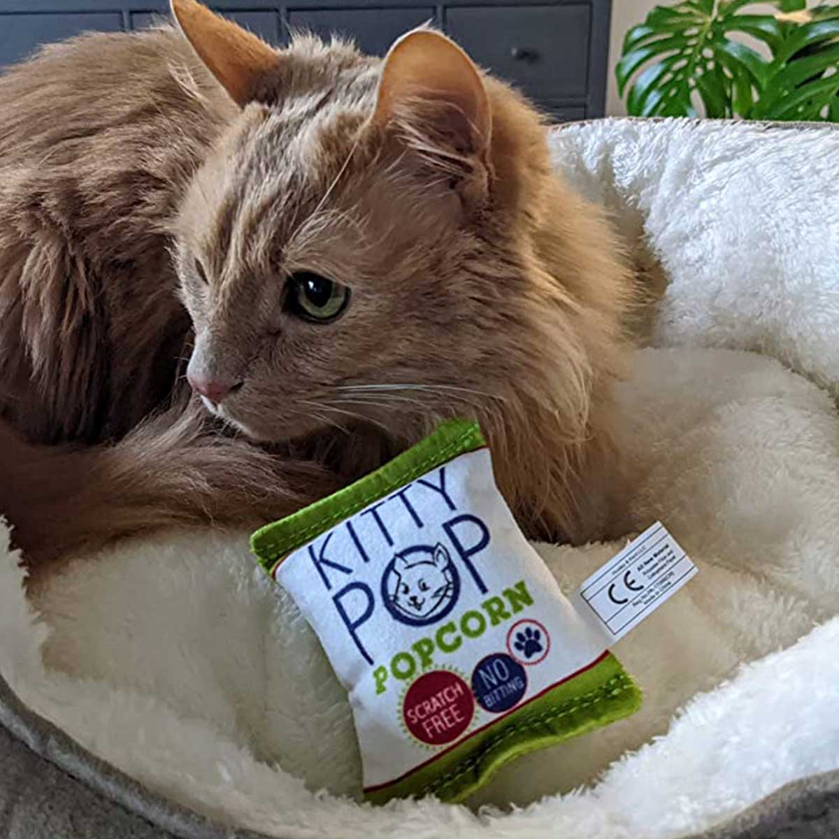 Kittybelles Kitty Pop Catnip Toy | Pawlicious & Company
