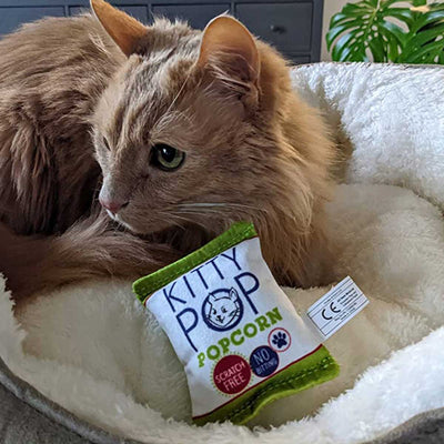 Kittybelles Kitty Pop Catnip Toy | Pawlicious & Company