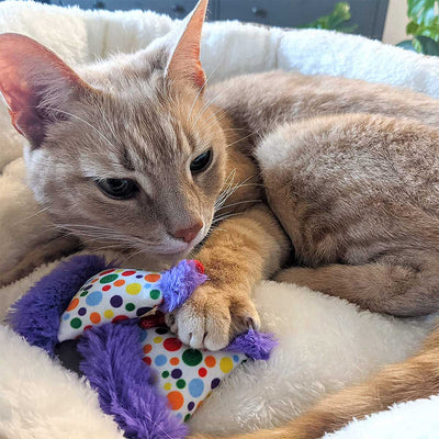 Kittybelles Party Hats Catnip Toy | Pawlicious & Company