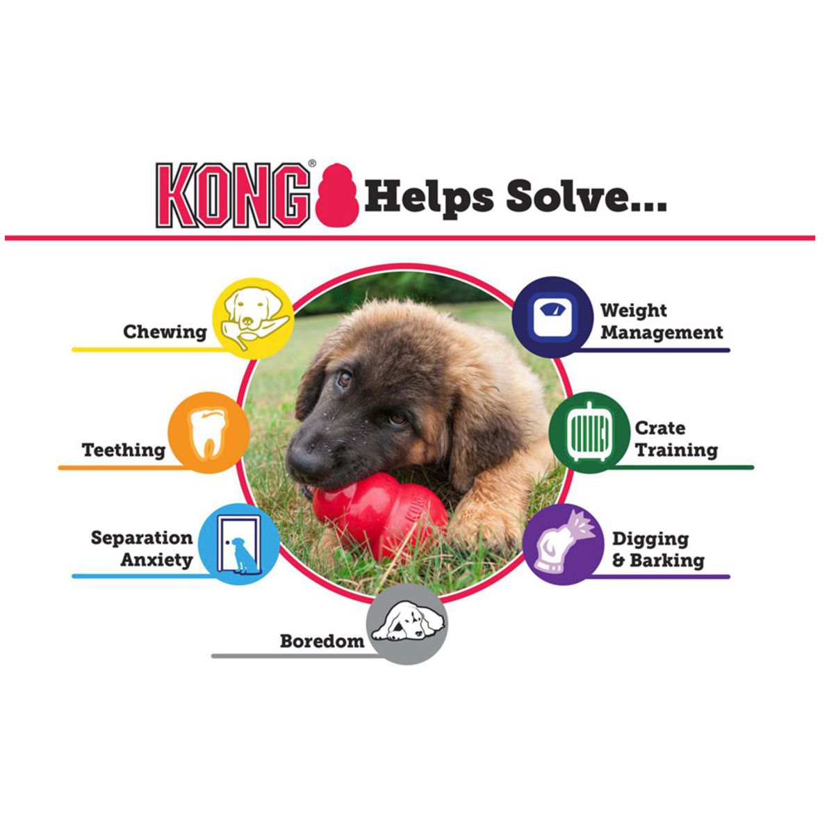 Kong® Extreme Treat Dispenser | Pawlicious & Company