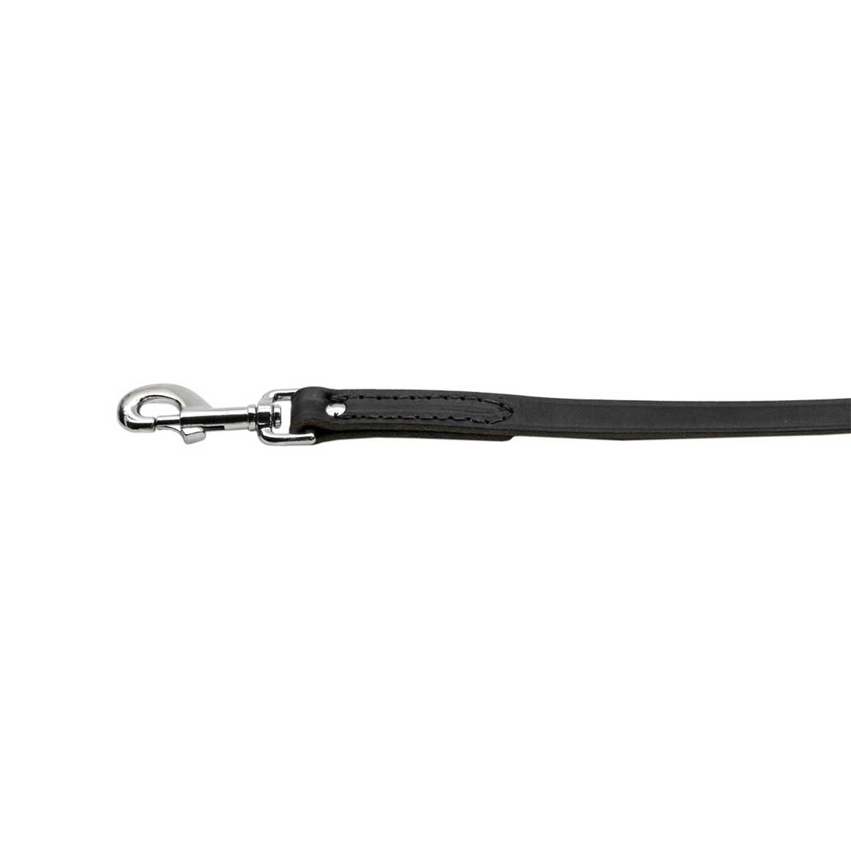 Plain Leather Leash in Black 6 ft | Pawlicious & Company