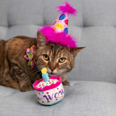 Mewow Cake Plush Catnip Toy | Pawlicious & Company