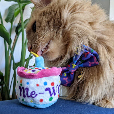 Mewow Cake Plush Catnip Toy | Pawlicious & Company