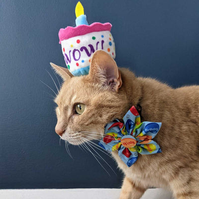 Mewow Cake Plush Catnip Toy | Pawlicious & Company