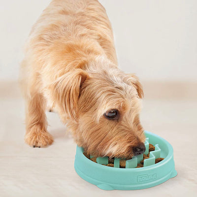 Mint Mini Wave Fun Feeder Slo Bowl | Pawlicious & Company