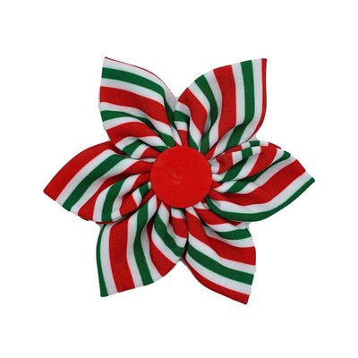 Peppermint Stripe Collar Flower | Pawlicious & Company