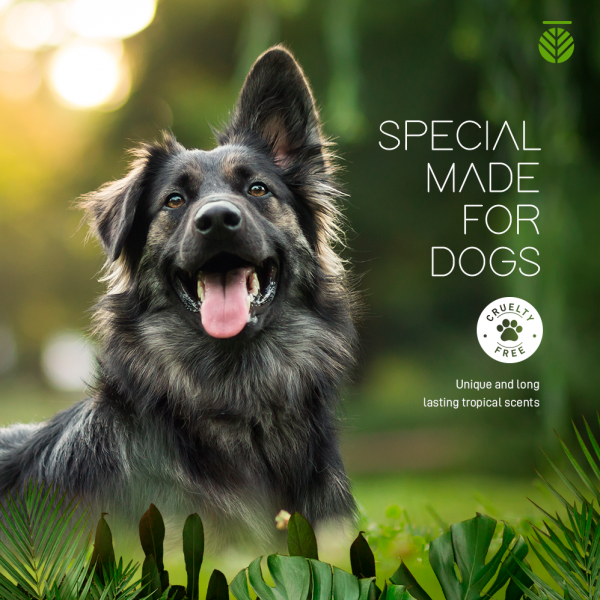 Amazonia Balm for Paws and Nose | Pawlicious & Company