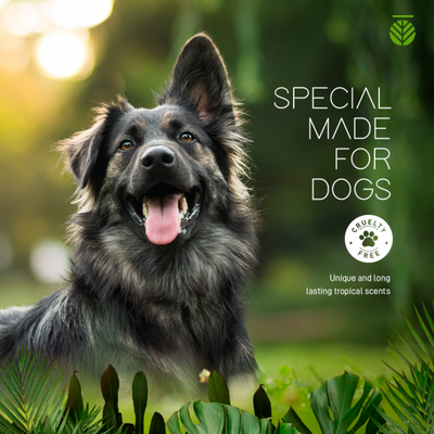 Amazonia Balm for Paws and Nose | Pawlicious & Company