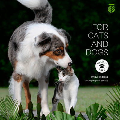 Amazonia Coconut Vegan & Natural Pet Shampoo | Pawlicious & Company